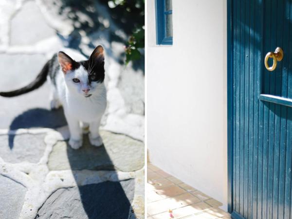 Villa Ippocampi - Adults Only : photo 7 de la chambre appartement - vue sur jardin