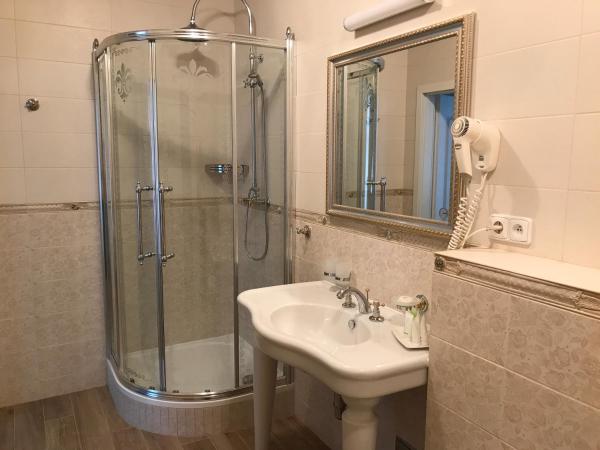 Hotel Saint Petersburg : photo 4 de la chambre suite premium