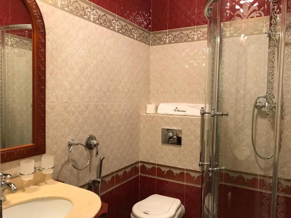 Hotel Saint Petersburg : photo 7 de la chambre chambre double deluxe