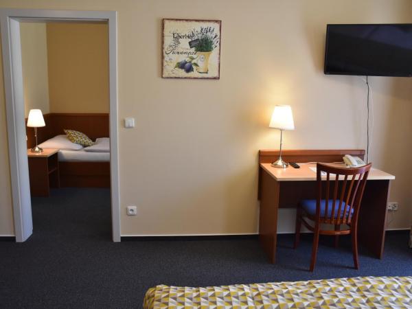 Aparthotel Austria Suites : photo 9 de la chambre appartement 2 chambres