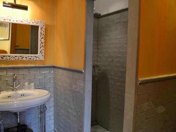 Historic manor, medieval town 10 minutes walk, private parking, garden : photo 2 de la chambre chambre lit queen-size - vue sur jardin
