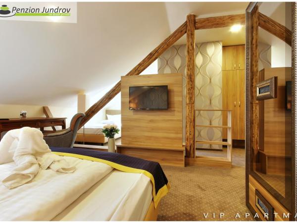 Penzion Vanessa : photo 5 de la chambre chambre de luxe double ou lits jumeaux avec baignoire spa