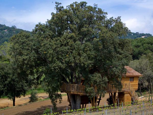 Château de Valmer : photo 2 de la chambre cabane dans les arbres familiale (2 adultes + 2 enfants)