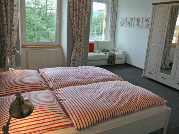 Penzion Valkoun-Lilienfeld : photo 2 de la chambre appartement deluxe