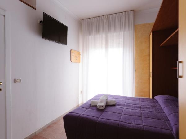 Hotel Viking : photo 6 de la chambre chambre double ou lits jumeaux Économique