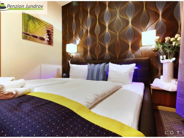 Penzion Vanessa : photo 2 de la chambre chambre de luxe double ou lits jumeaux avec baignoire spa