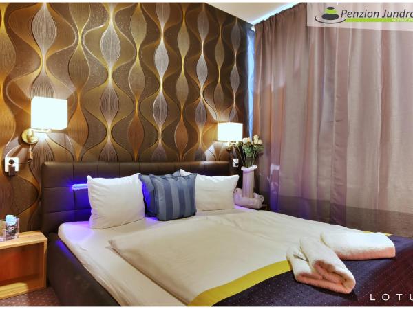 Penzion Vanessa : photo 1 de la chambre chambre de luxe double ou lits jumeaux avec baignoire spa