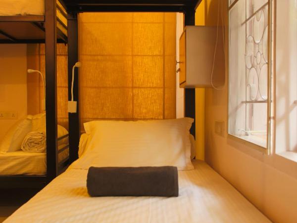 Locul Uptown - Near Bangalore Palace Grounds : photo 5 de la chambre 6 bed non ac female dorm only