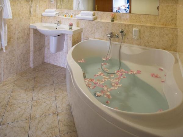 TOP HOTEL Praha : photo 4 de la chambre chambre double ou lits jumeaux supérieure avec parking gratuit et bien-Être