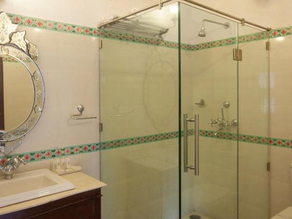 Lake Pichola Hotel : photo 4 de la chambre chambre double standard - pas face au lac