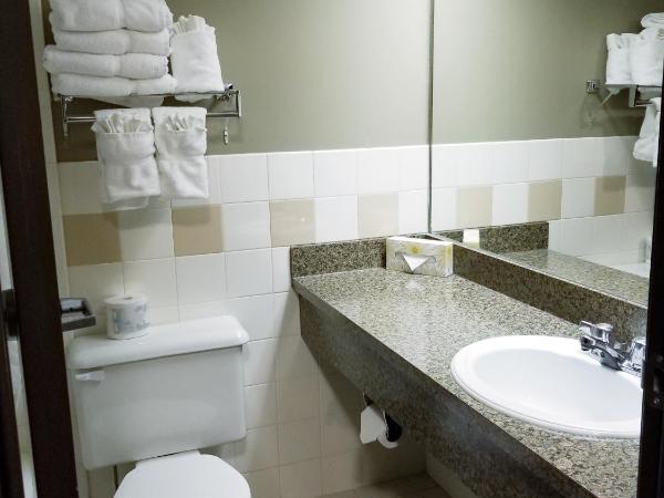 Canad Inns Destination Centre Fort Garry : photo 4 de la chambre chambre avec 2 grands lits queen-size