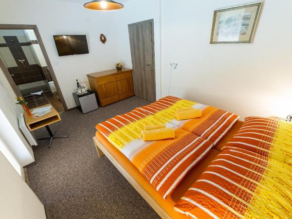 Penzion TOP : photo 8 de la chambre chambre double avec terrasse