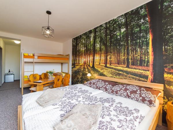 Penzion TOP : photo 8 de la chambre chambre quadruple avec salle de bains privative