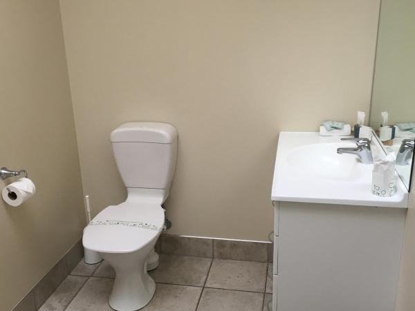 Fairway Motel & Apartments : photo 2 de la chambre chambre lit king-size deluxe