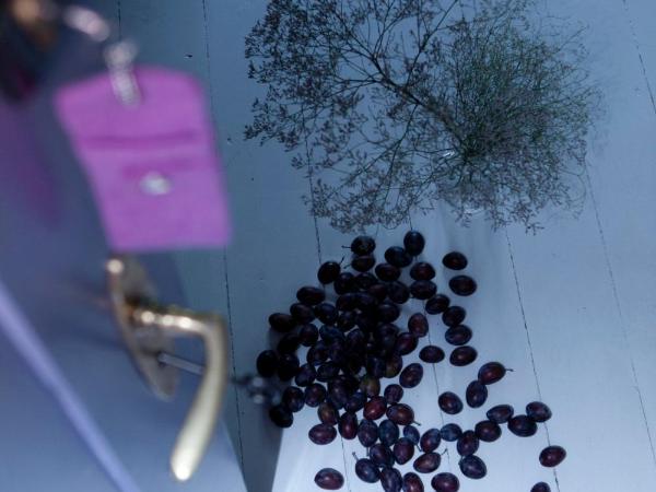 Republika Słoneczna : photo 2 de la chambre chambre lits jumeaux