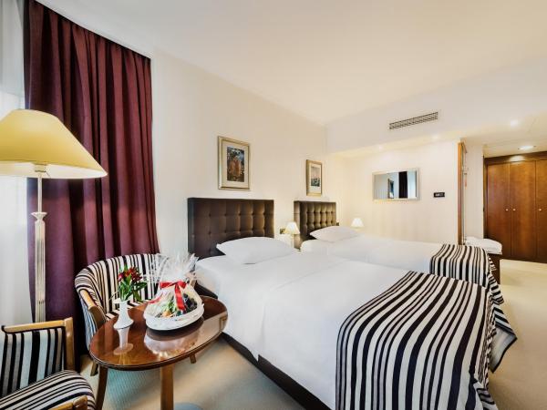 Hotel Dubrovnik : photo 3 de la chambre chambre lits jumeaux standard