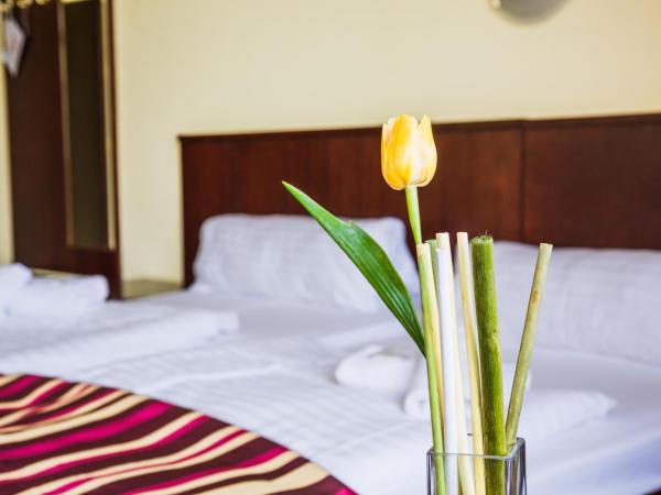 Hotel Adria : photo 1 de la chambre chambre deluxe double ou lits jumeaux