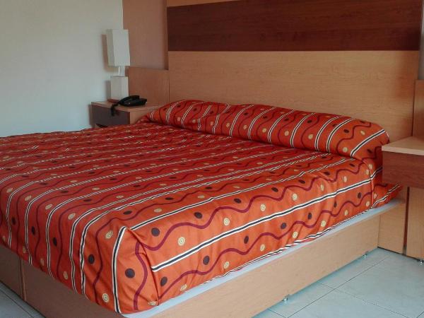 Hotel Real Zapopan : photo 1 de la chambre chambre lit king-size