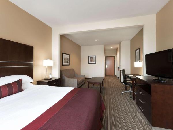 Wingate By Wyndham Houston / Willowbrook : photo 2 de la chambre chambre lit king-size - non-fumeurs