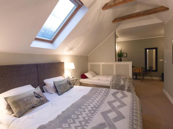 Reykjavik Residence Apartment Hotel : photo 5 de la chambre studio supérieur