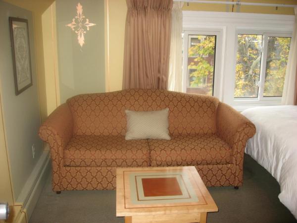 Victoria's Mansion Guest House : photo 2 de la chambre studio