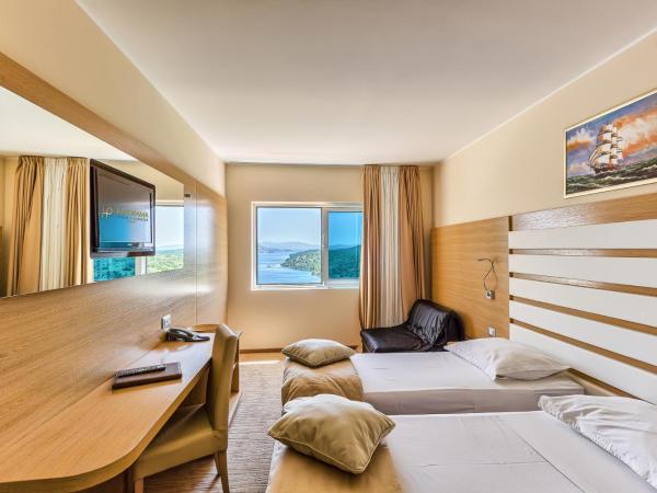 Hotel Panorama : photo 7 de la chambre chambre double supérieure