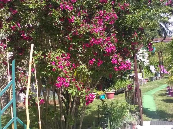 Le Parisien : photo 8 de la chambre chambre familiale avec toilettes communes