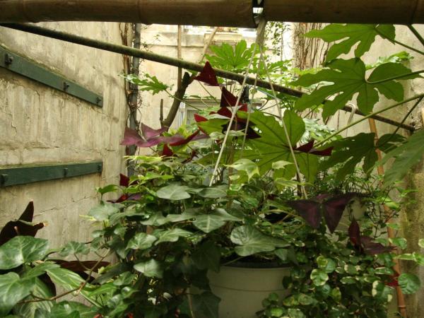 Hotel La Marine, Vieux Port : photo 2 de la chambre grande chambre double - côté cour