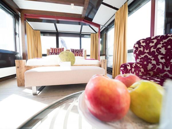 Hotel Restaurant Krehl's Linde : photo 3 de la chambre chambre double avec terrasse