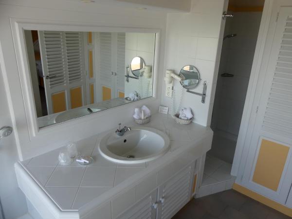 Hôtel L' Estelle en Camargue : photo 3 de la chambre chambre double supérieure