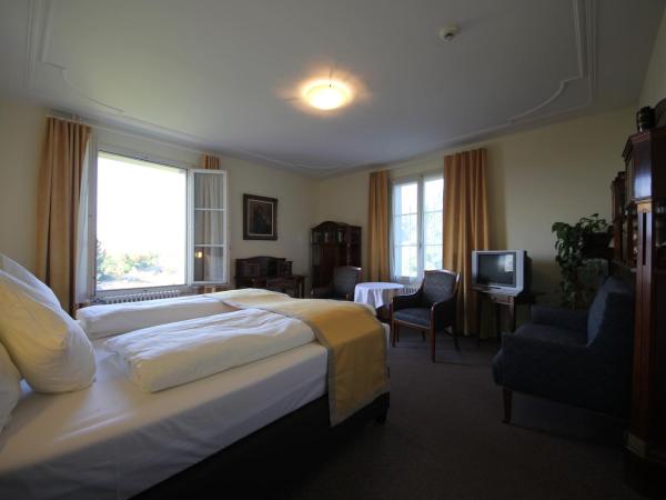 Gasthaus zum Kreuz : photo 2 de la chambre chambre double confort