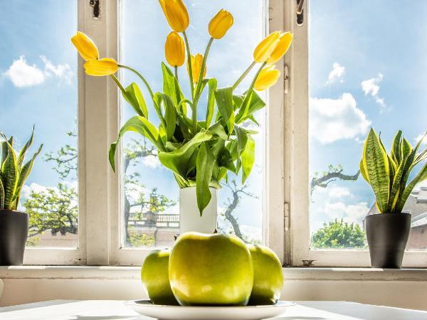 Flamingo Premium Hostel : photo 3 de la chambre chambre double avec salle de bains privative