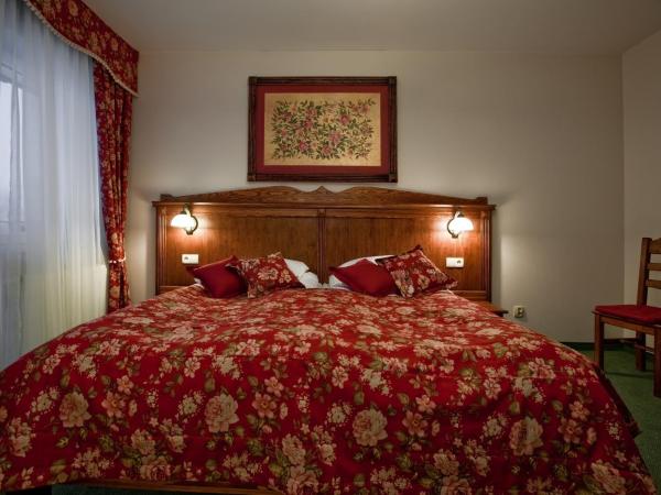 Helan Family & SPA : photo 1 de la chambre chambre double ou lits jumeaux premium