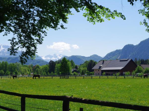 Sishaus - View at Mozarts : photo 9 de la chambre loft