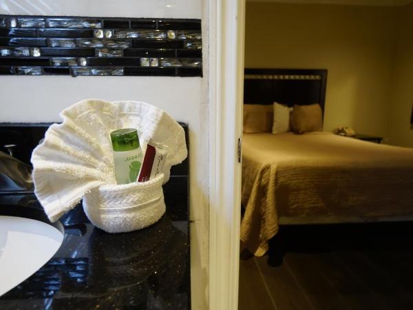 Trylon Hotel - Hollywood : photo 6 de la chambre chambre lit queen-size deluxe