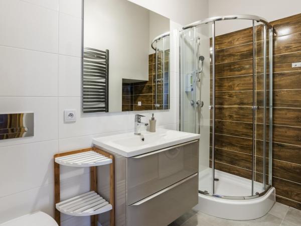 Apartamenty Centrum Częstochowa Stara Kamienica : photo 4 de la chambre appartement - rez-de-chaussée