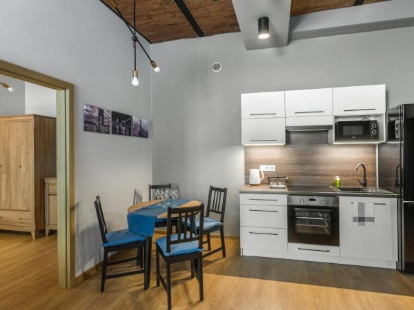 Apartamenty Centrum Częstochowa Stara Kamienica : photo 2 de la chambre appartement - rez-de-chaussée