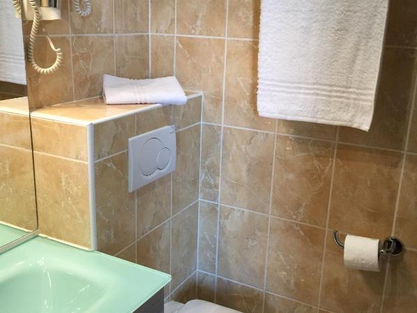 Hôtel Vendôme : photo 1 de la chambre chambre simple climatisée