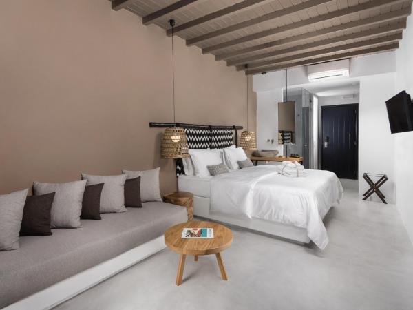 My Mykonos Hotel : photo 7 de la chambre chambre double deluxe avec bassin profond privé