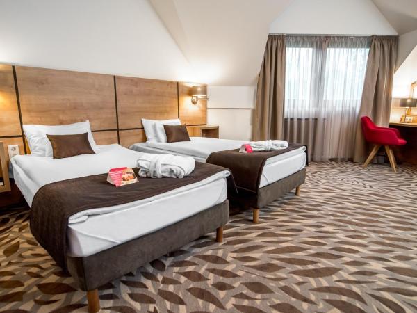 Rubin Wellness & Conference Hotel : photo 1 de la chambre chambre familiale - vue sur jardin