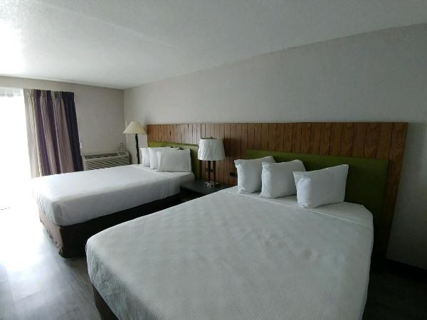 Garden City Inn : photo 6 de la chambre chambre 2 lits queen-size - vue côté océan