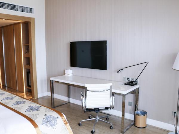 Sanya Phoenix Airport Hotel : photo 4 de la chambre chambre king city