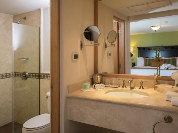 Hotel Tesoro Los Cabos : photo 8 de la chambre suite junior