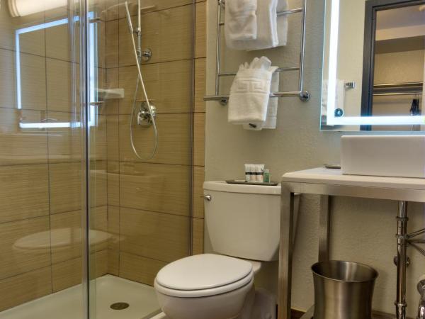 The Barrymore Hotel Tampa Riverwalk : photo 8 de la chambre chambre lit king-size - non-fumeurs