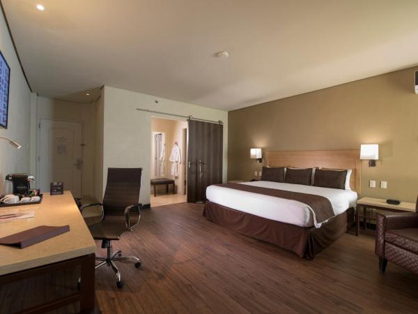 Victoria Ejecutivo : photo 2 de la chambre suite junior