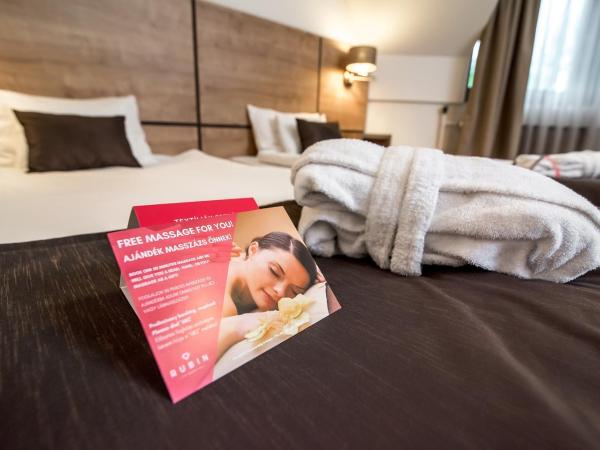 Rubin Wellness & Conference Hotel : photo 2 de la chambre chambre familiale - vue sur jardin