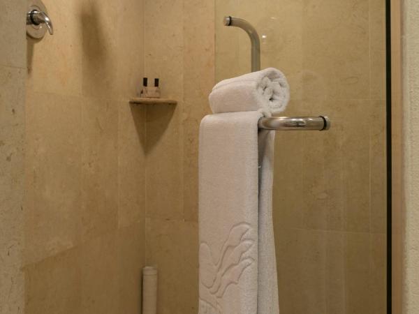 Victoria Ejecutivo : photo 7 de la chambre chambre lit king-size