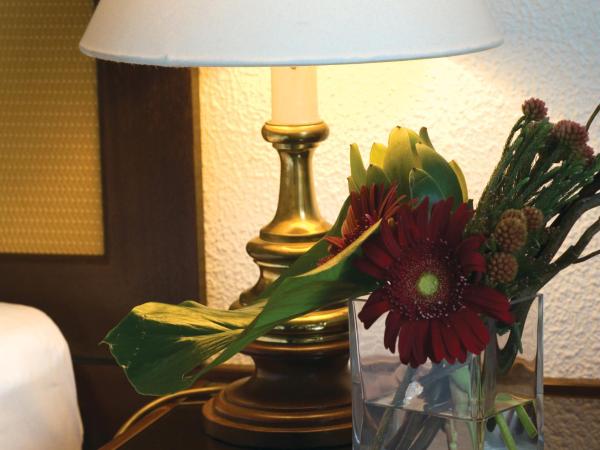 Hotel D. Luis : photo 9 de la chambre chambre double avec forfait romantique