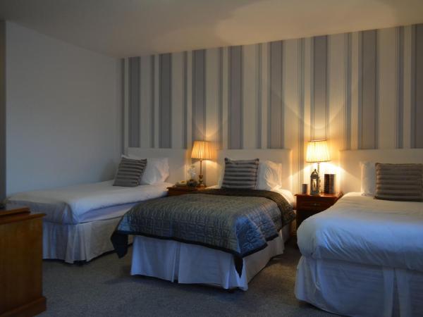 Woodfield House Hotel : photo 1 de la chambre chambre triple