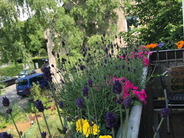 Apartmenthaus Sonnen : photo 1 de la chambre appartement avec balcon